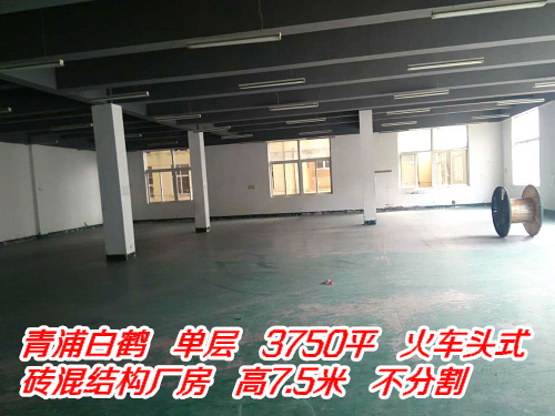 g0154 青浦白鹤 单层 3750平方 火车头式 砖混结构厂房 高7.5米