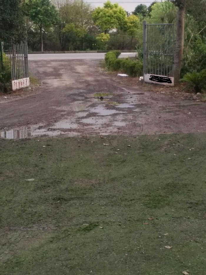 g0346 奉贤区泰日镇 林海公路光泰路附近 独门独院 树林地5亩 场地500平方 厂房建筑200平方米出租