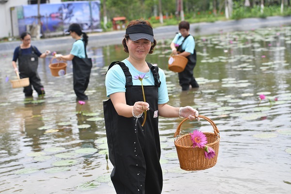 上海公布国土空间“家底”:生态用地逐年增加减量化倒逼节约集约用地
