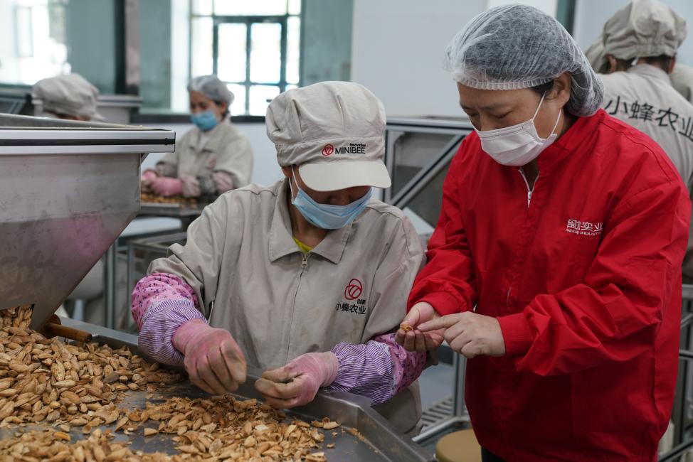她让贫瘠开出花“沙漠玫瑰”任长艳