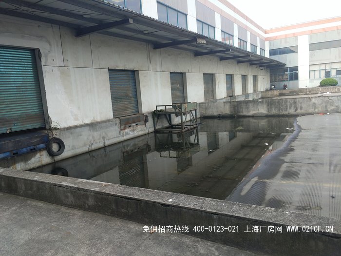 g2039青浦赵巷原房东高平台仓库出租 5000平方米 1.8元/平/天 整体出租
