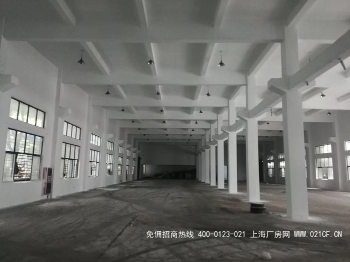 g2043 奉贤区西渡镇工业园单层厂房仓库出租 800平起租 共2700平