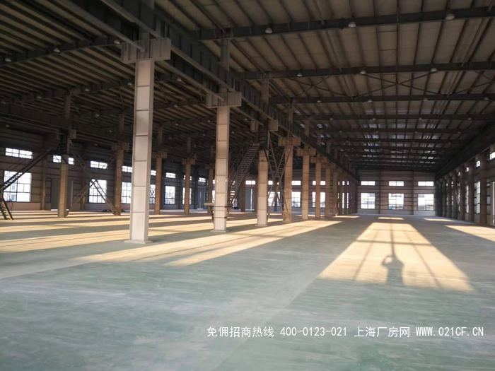 g2044奉贤奉浦开发区 单层可装行车厂房出租 4000平方米 可装20吨行车