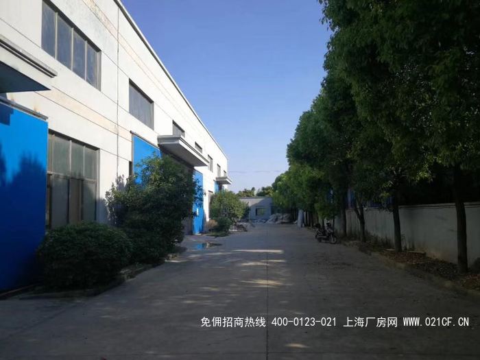 g2059 奉贤青村工业园区1200平,800平,750平 小面积厂房出租 104地块 无税收要求