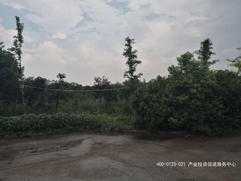 g2128 南京市高淳区内厂房土地出售 共23亩 已使用8亩建有单层3000平厂房 空地15亩可报建 整体出售招商