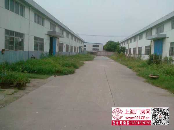 g1756 金山区漕泾镇亭卫公路单层厂房仓库出租 可分租 0.65元起 丙类消防 104地块可环评