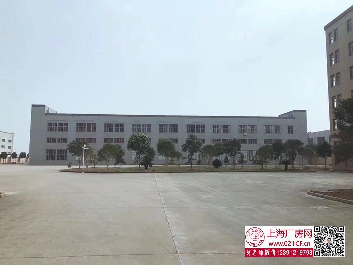 g1767 金山枫泾镇建安路双层厂房仓库出租 1000平起租 104地块可环评 无税收要求